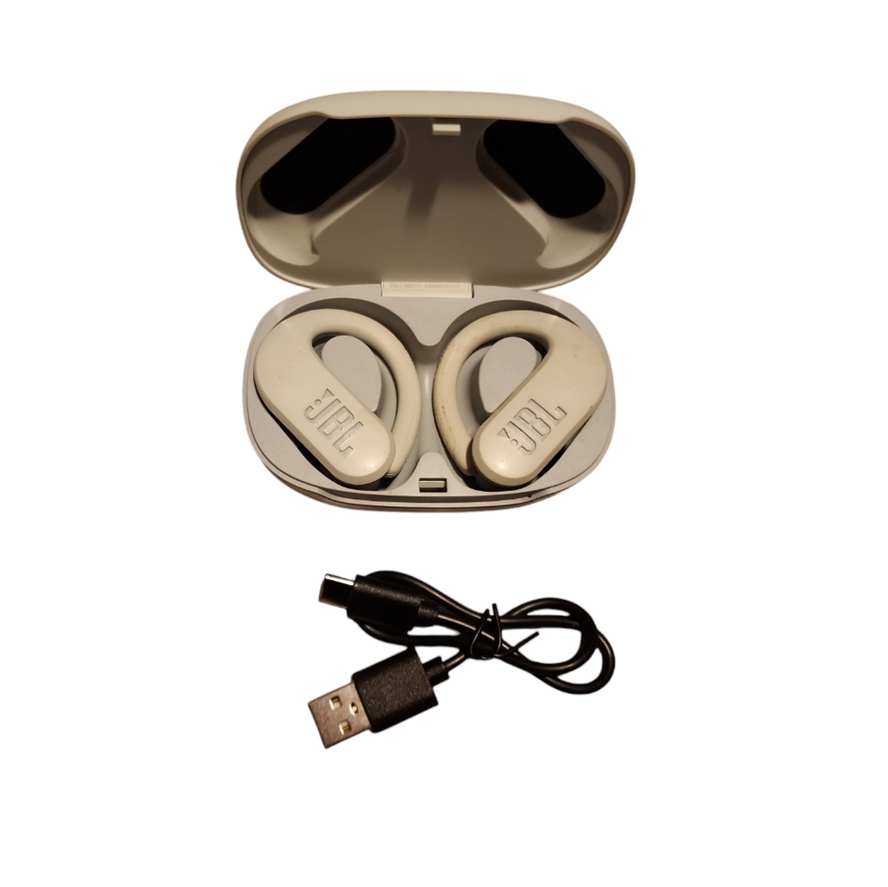 JBL Endurance Peak Wireless Bluetooth Earbuds